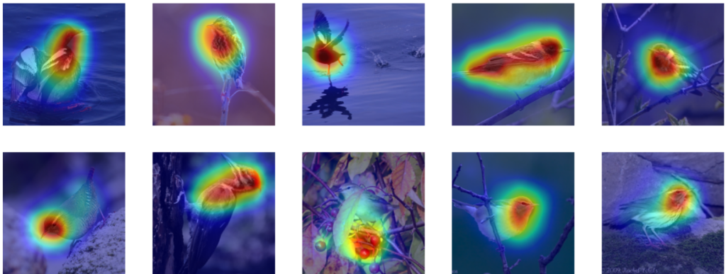 Explainable AI using Saliency maps and Proto-PNet
