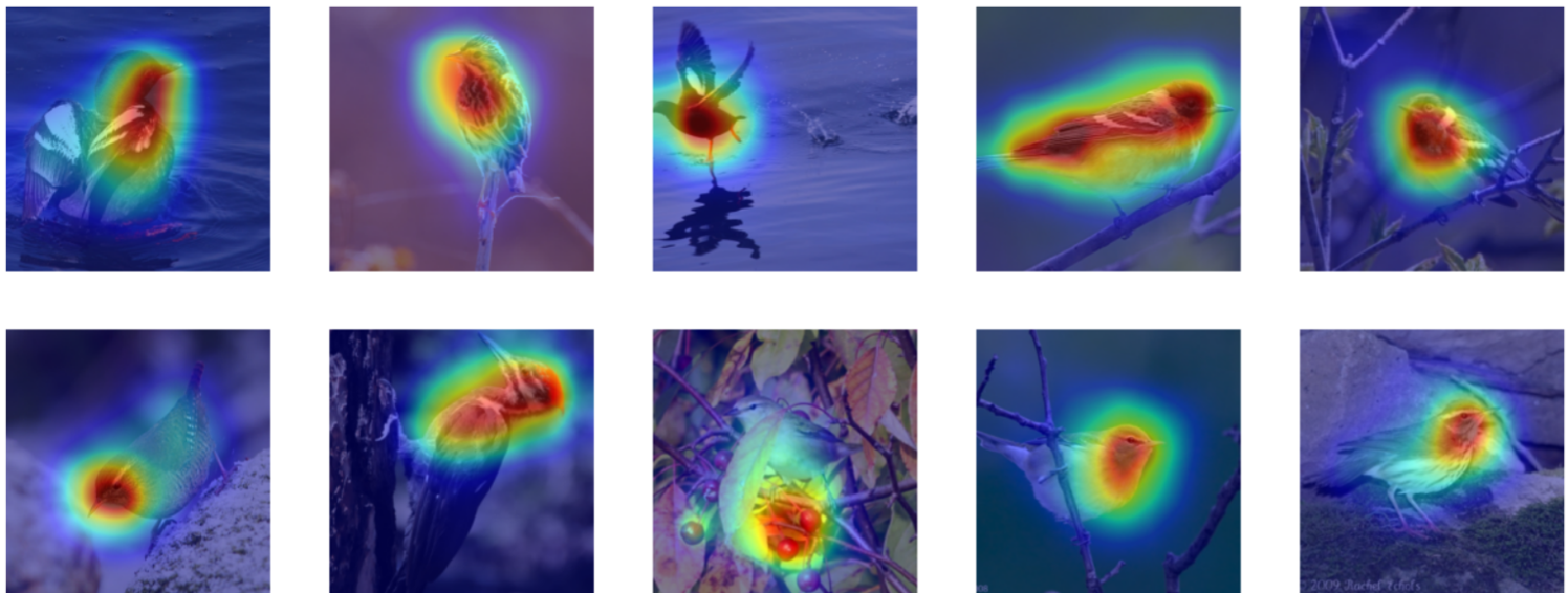 Explainable AI using Saliency maps and Proto-PNet