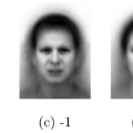 Linear Encoding of faces